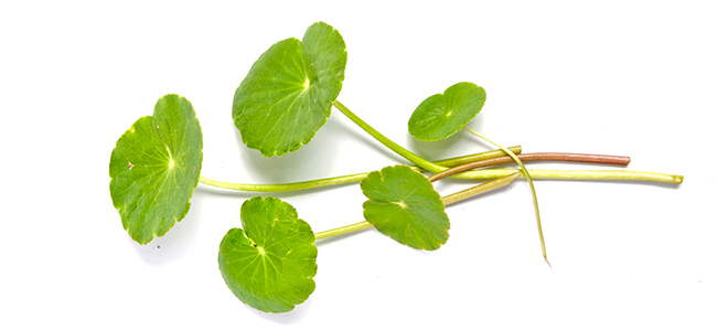 Intensive Acne Serum 12 mL