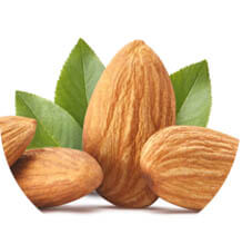 Minyak Almond