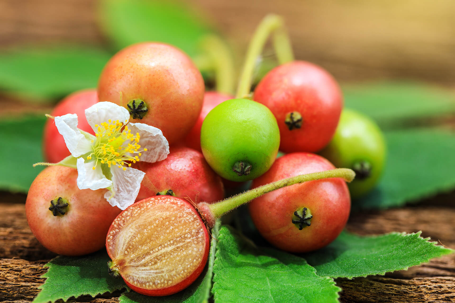 Lip Cream CT18 Matte J 05 7.5 g