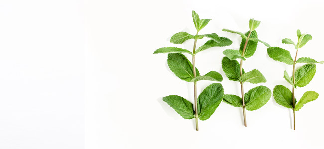 Peppermint