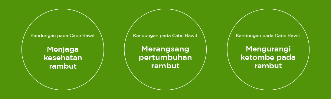 Cabai Rawit