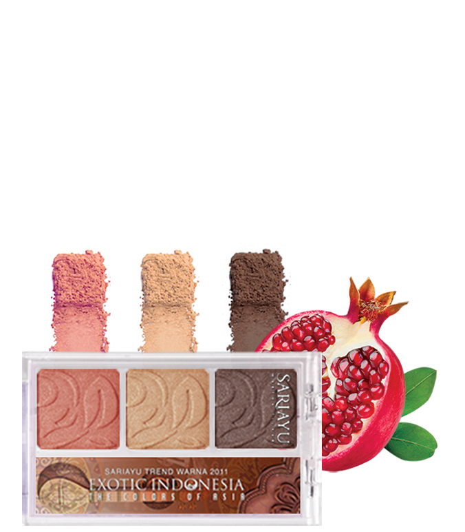 Eyeshadow CT11 Petikan Sitar 7.5 g