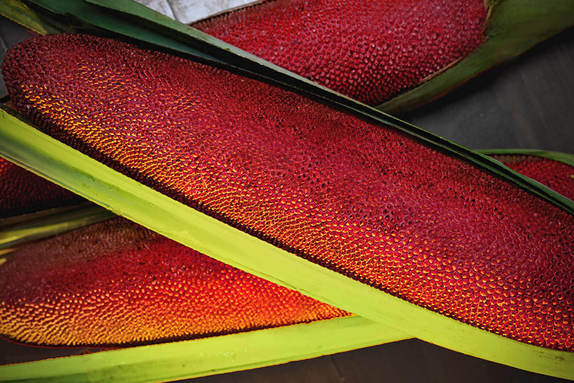 Eyeshadow CT15 P 01 5.8 g