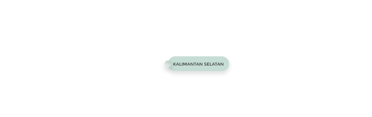 Kalimantan Selatan