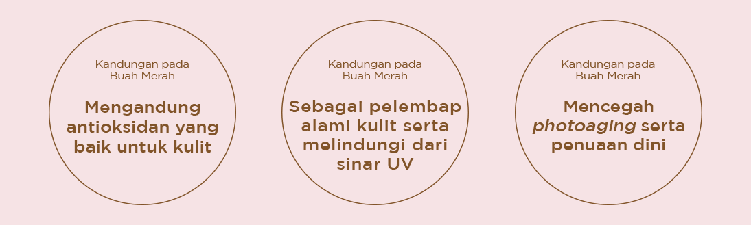 Buah Merah