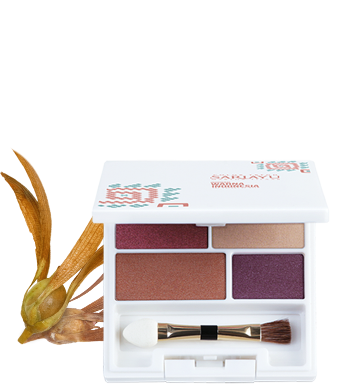 Eyeshadow CT19 WI 01 7 g 