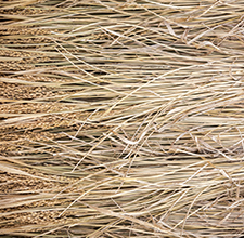 Anti Dandruff Natural Shampoo 