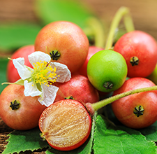 Lipstick CT18 Matte Metallic J 03 4.5 g