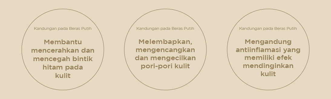 Beras Putih