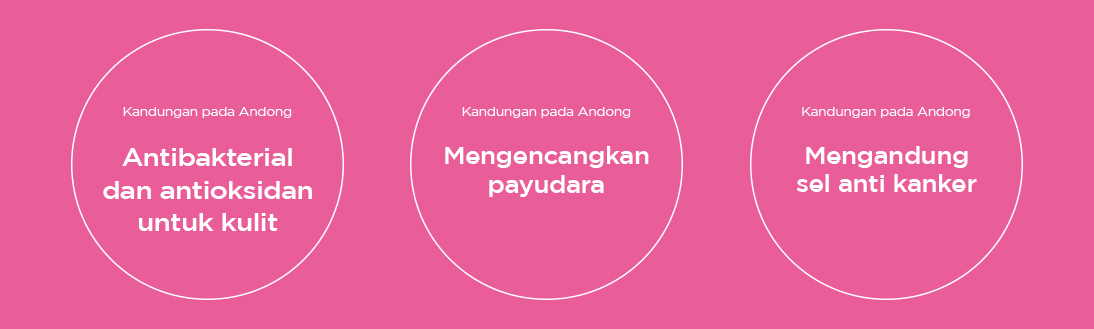 Andong