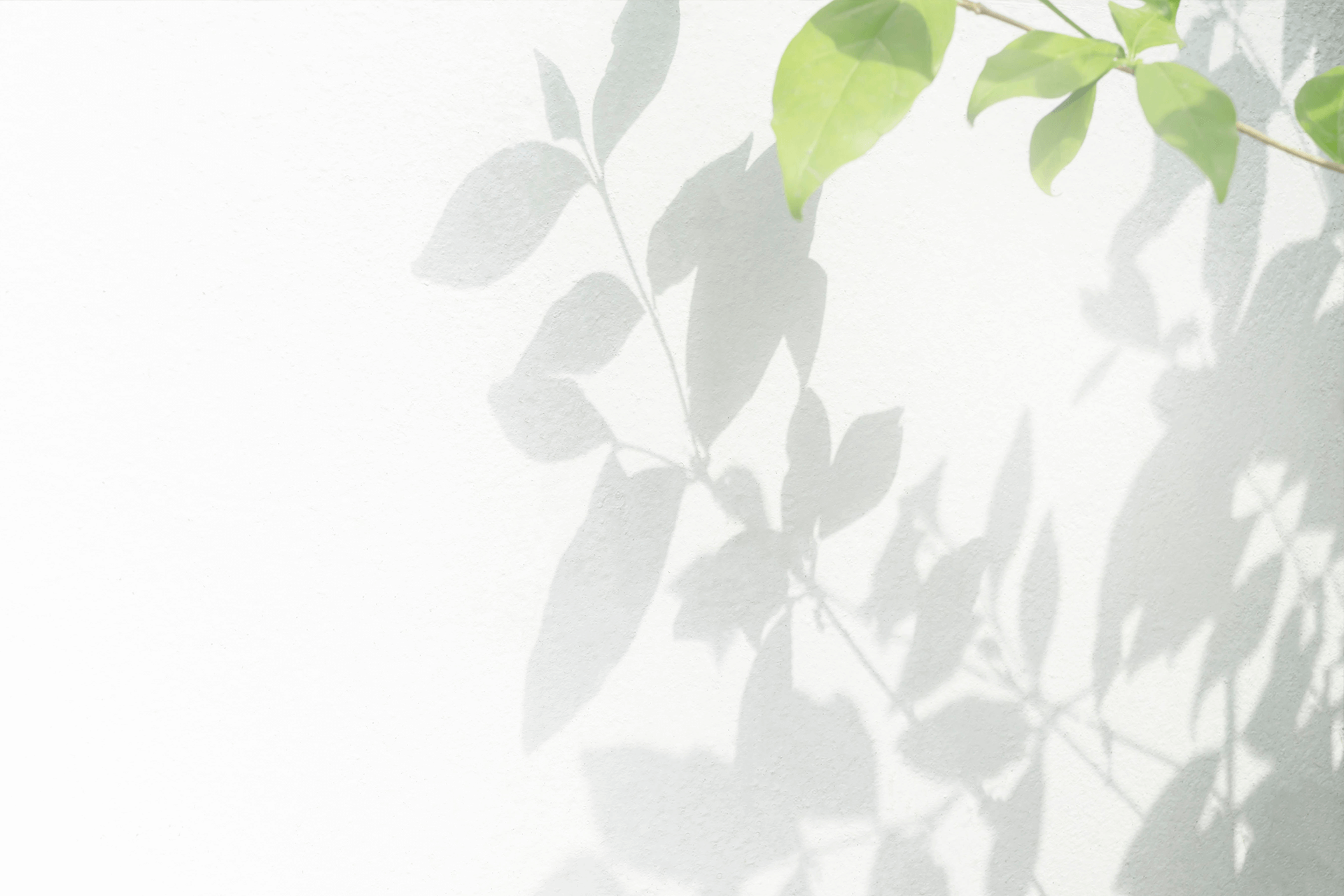 Make Up Palette CT13 31.5 g