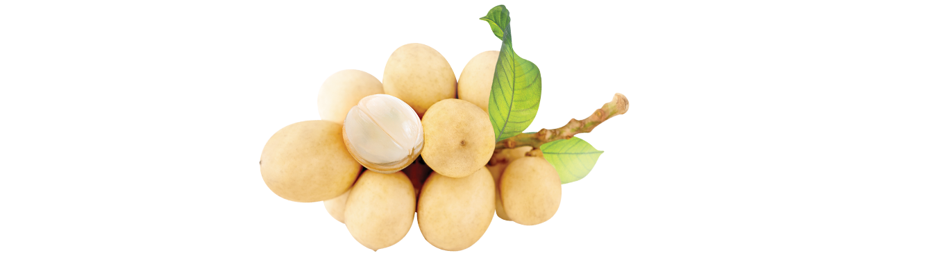 Bright Skin Putih Langsat Moisturizer 35 g