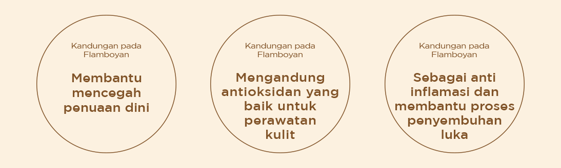 Flamboyan 