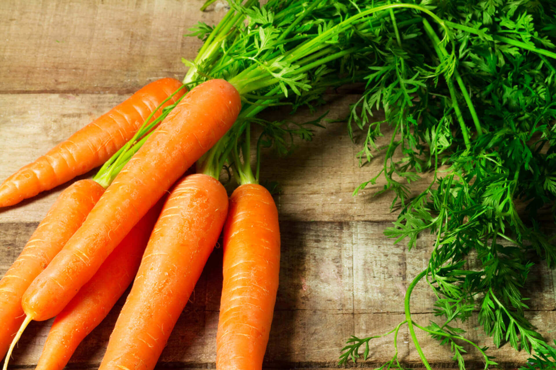 Damage Hair Natural Shampoo 