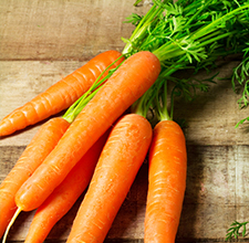 Damage Hair Natural Shampoo 