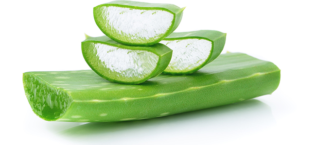 Hair Strenght Natural Shampoo