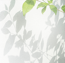 Blush On Merah Delima 3.4 g