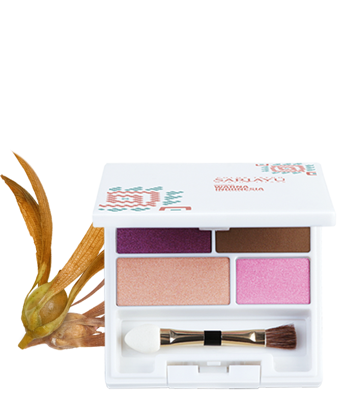 Eyeshadow CT19 WI 02 7 g 