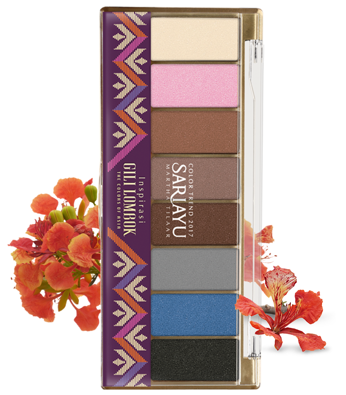 Eye Shadow Kit CT17 10 g 